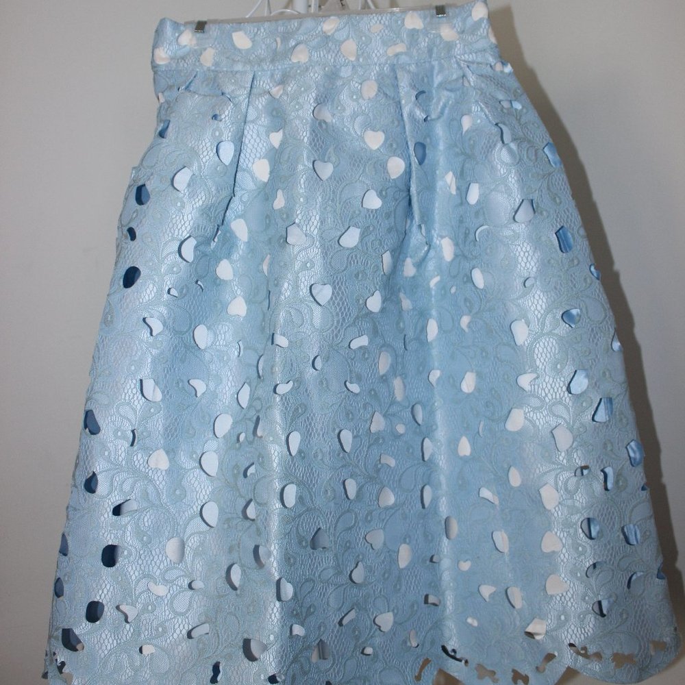 Tea Length, Sky Blue Skirt